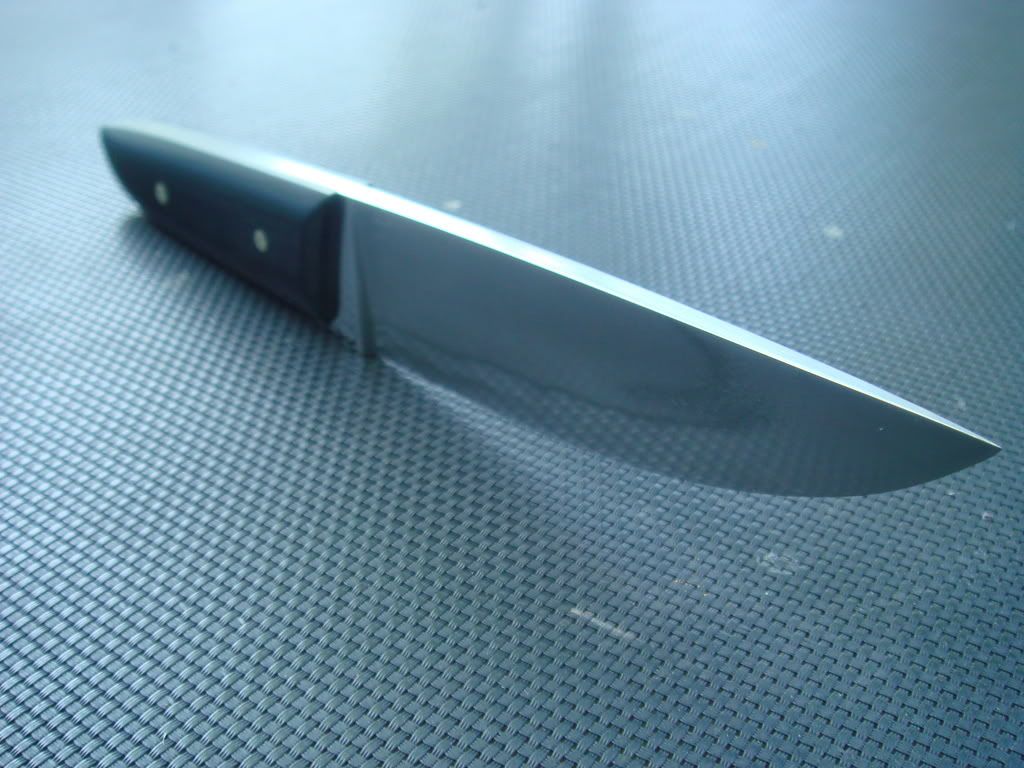 DSC01274.jpg