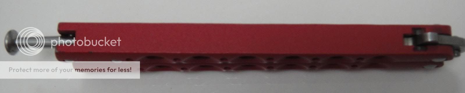 DSC01773.jpg