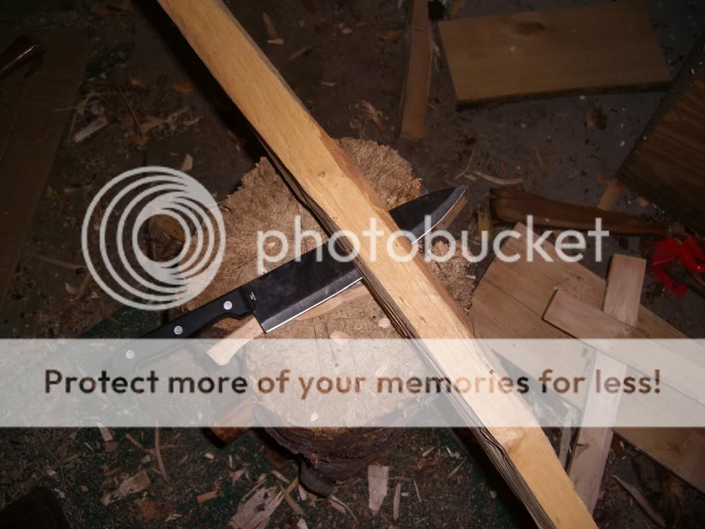 CIMG8875.jpg