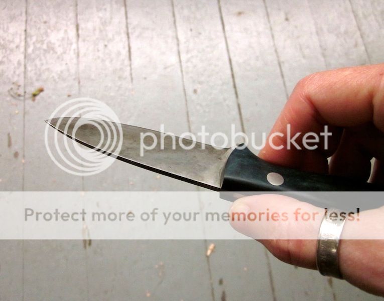 IMG_0553.jpg~original