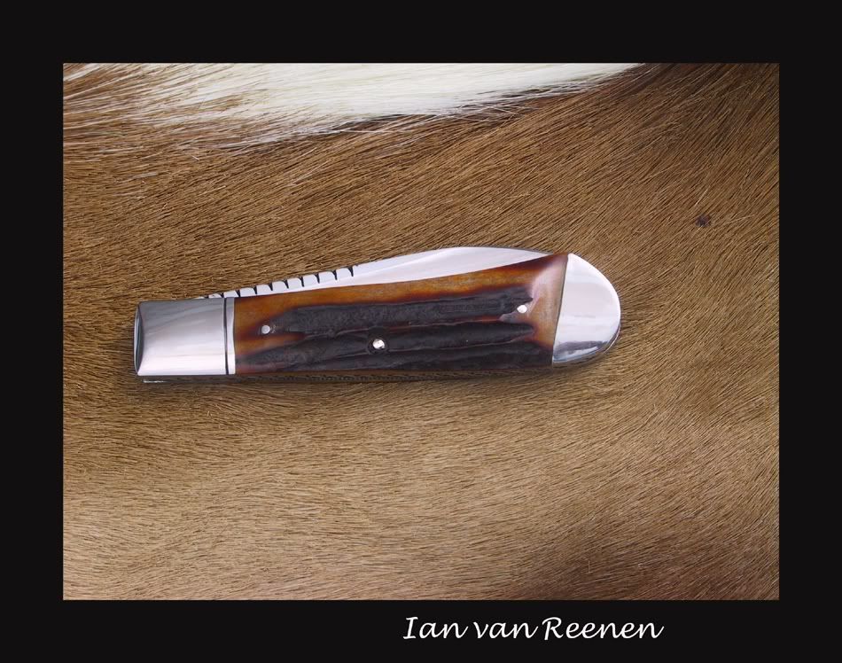 Trapper01122010-3web.jpg
