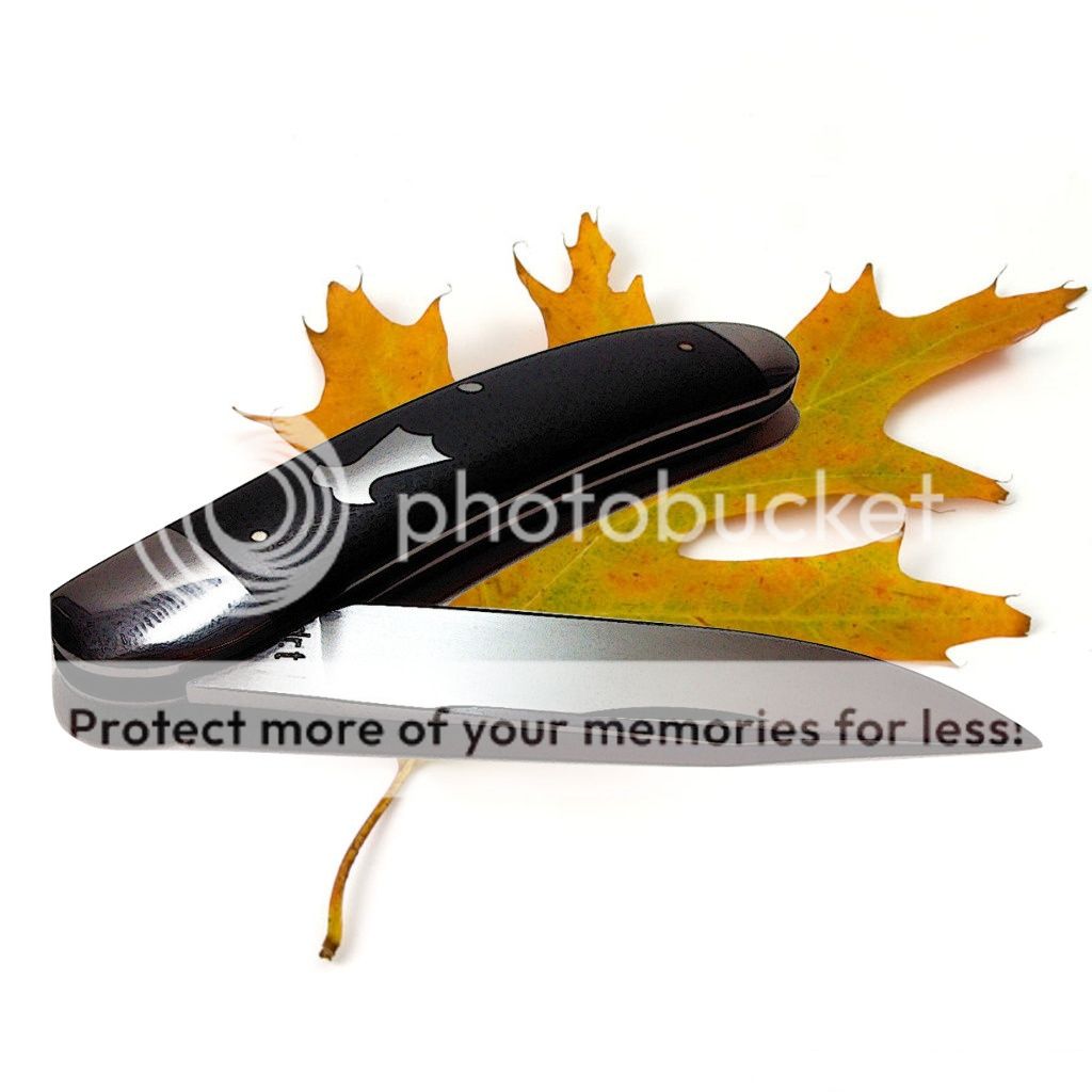 REDO4_zpsth51ne3a.jpg