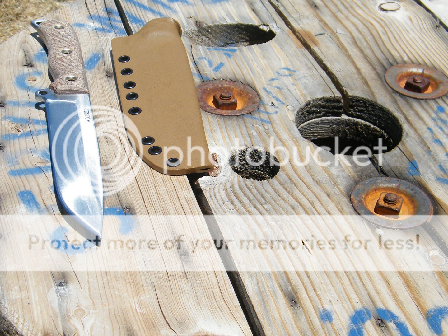 DSCF7208.jpg