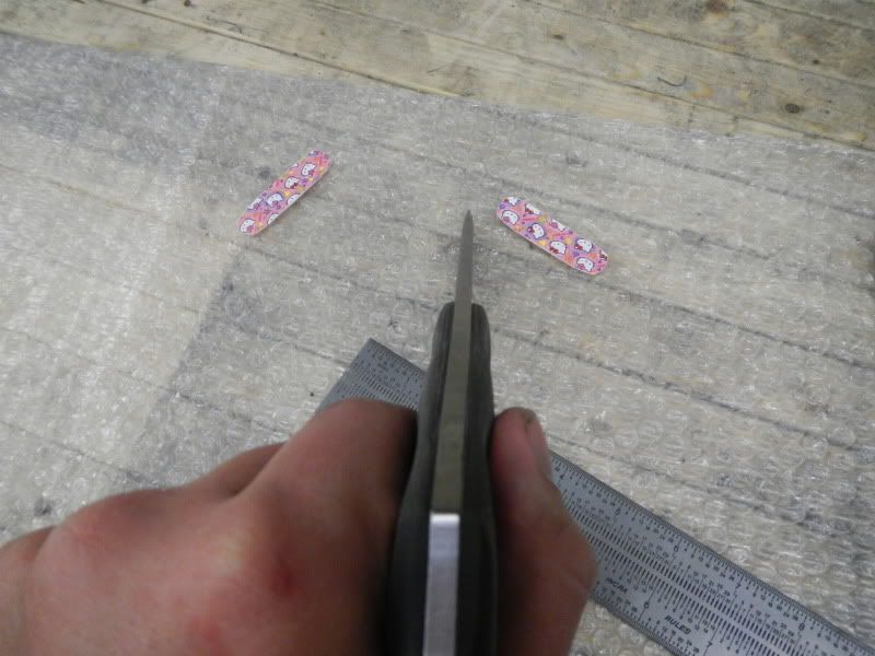 DSCN0230.jpg