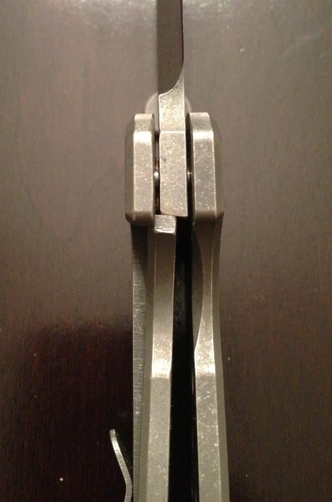 image1.jpeg