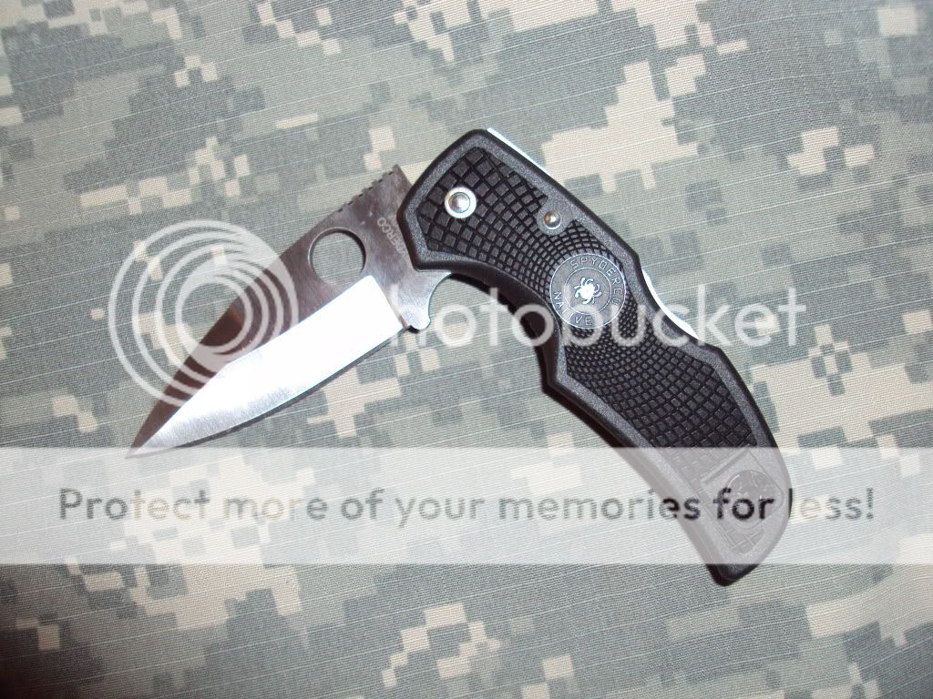 Spydie.jpg