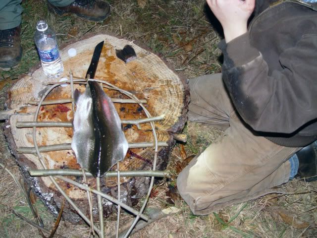 DSC03952.jpg