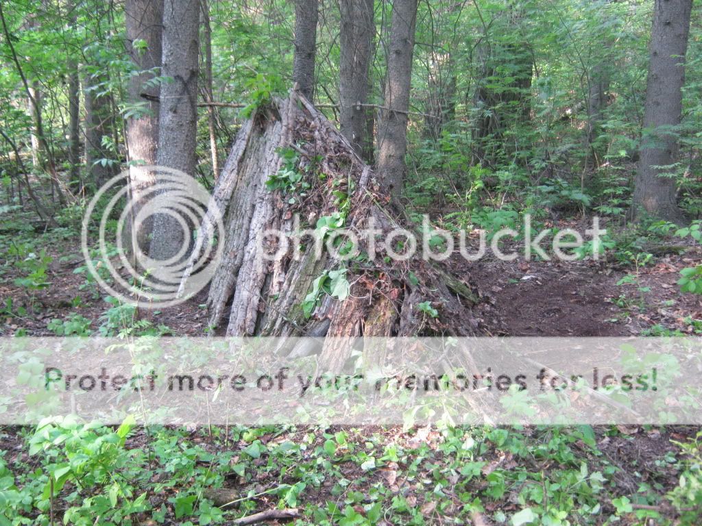 june192010029.jpg