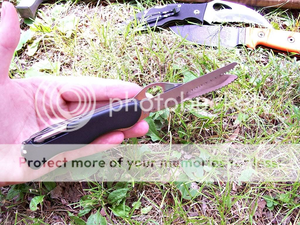 trekker4.jpg