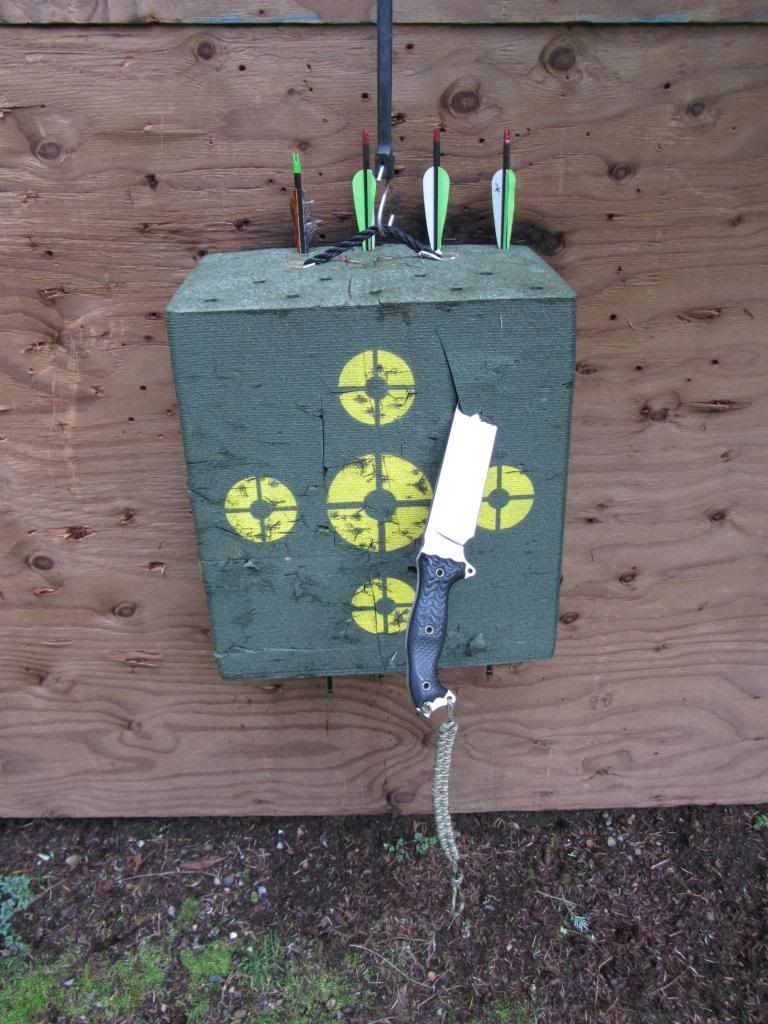 IMG_1500_zps48005cf1.jpg