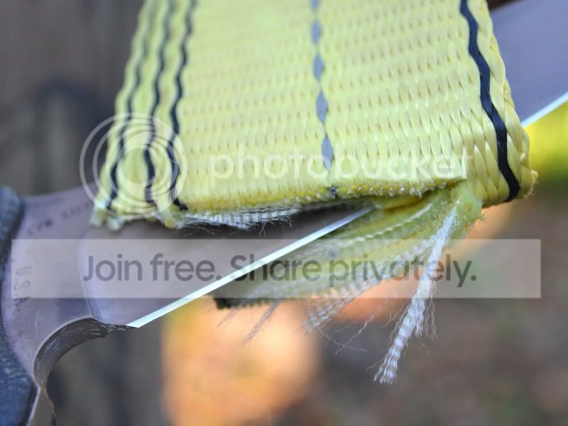 Webbing-1.jpg
