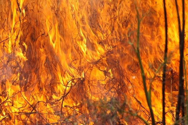 0420-0906-1223-5753_fire_in_los_angeles_m.jpg