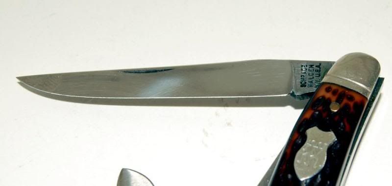 DSC_1009.jpg