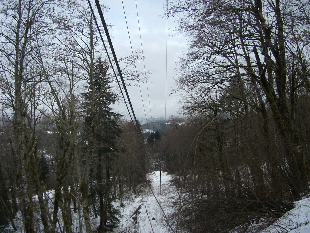 5500844733_a389140889_b.jpg