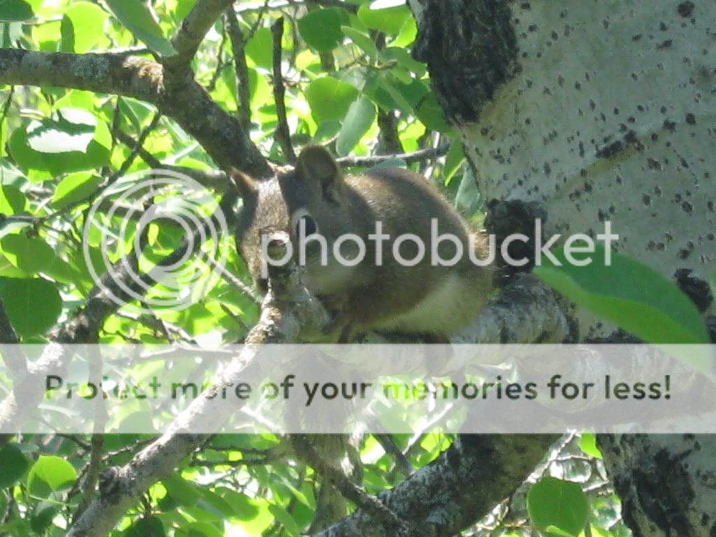 IMG_7580.jpg