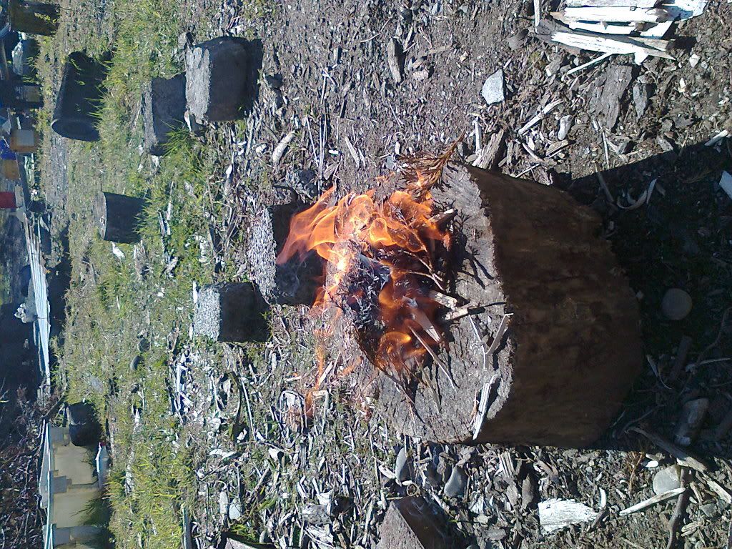 Photo0021.jpg