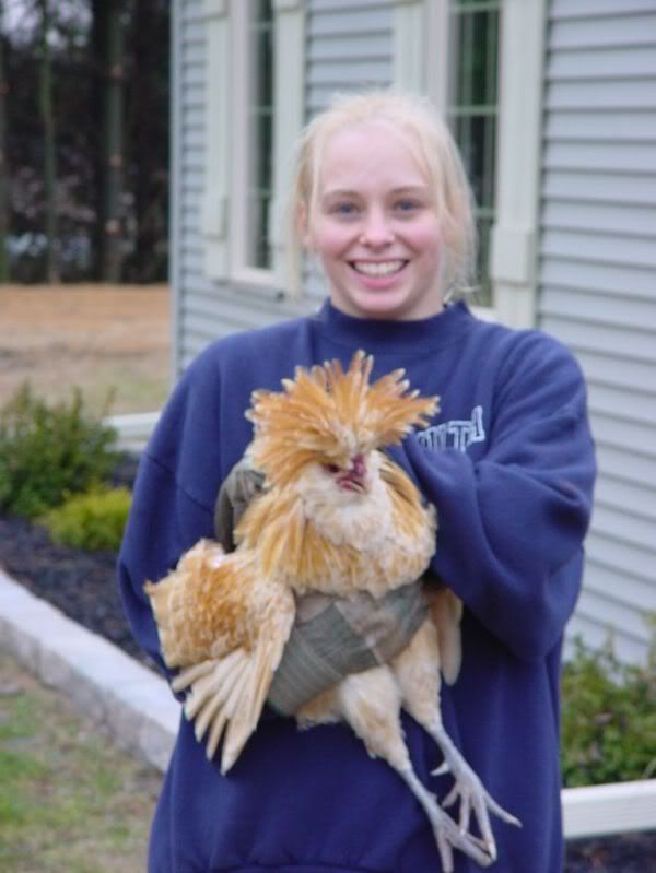 Rooster.jpg