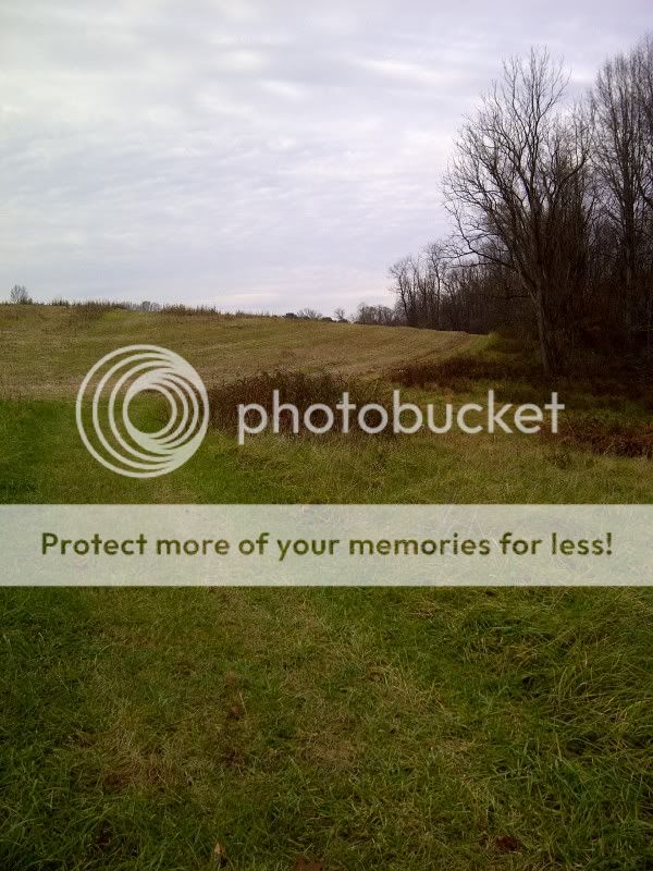 District4Marshall-20111114-00437.jpg