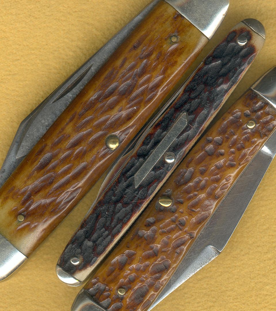 StagorBone2.jpg