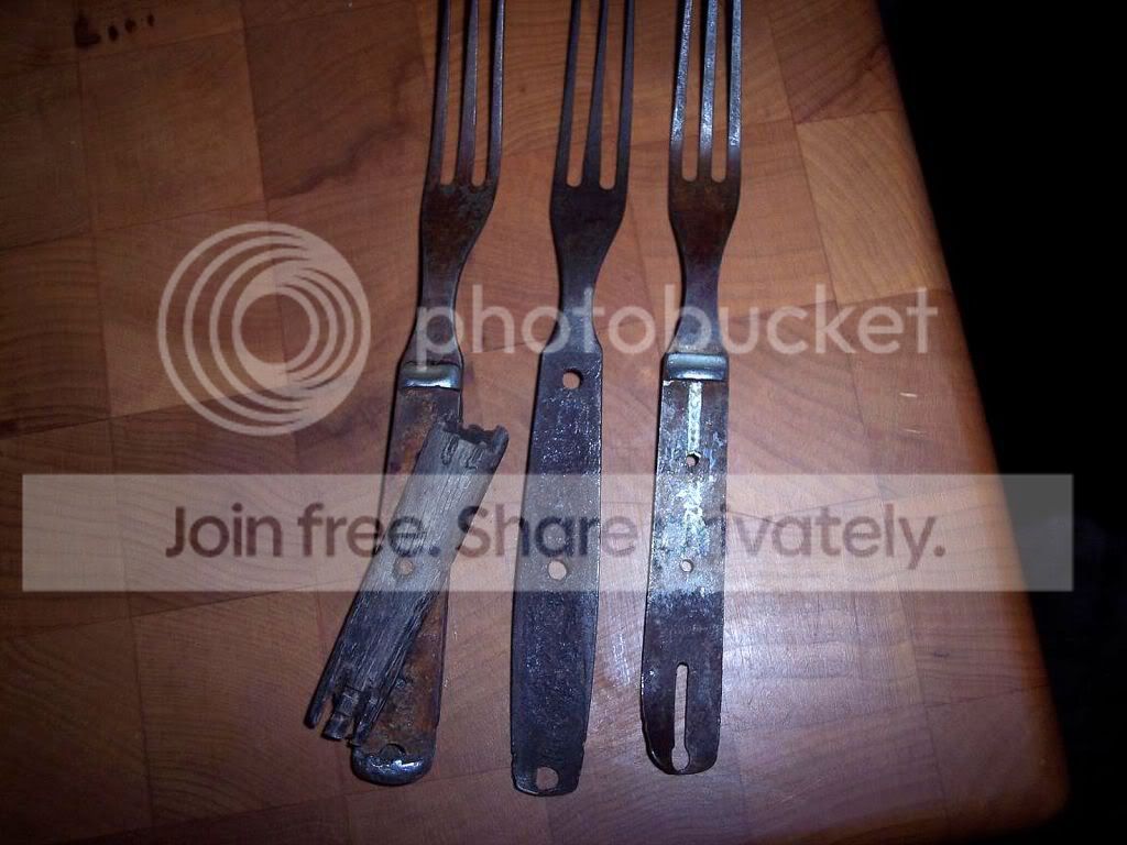 forksbefore.jpg