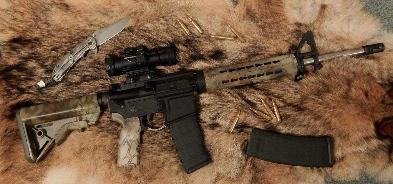 vvronr9.jpg