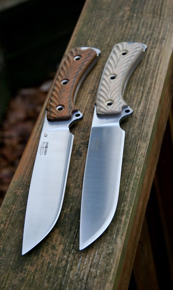 Busse-SARGE7LEa.jpg
