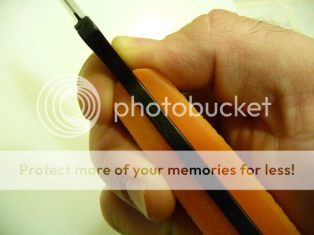 scalepics4.jpg