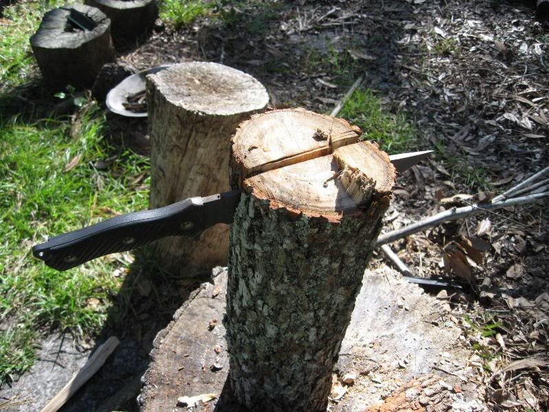 TreeNov2005017.jpg