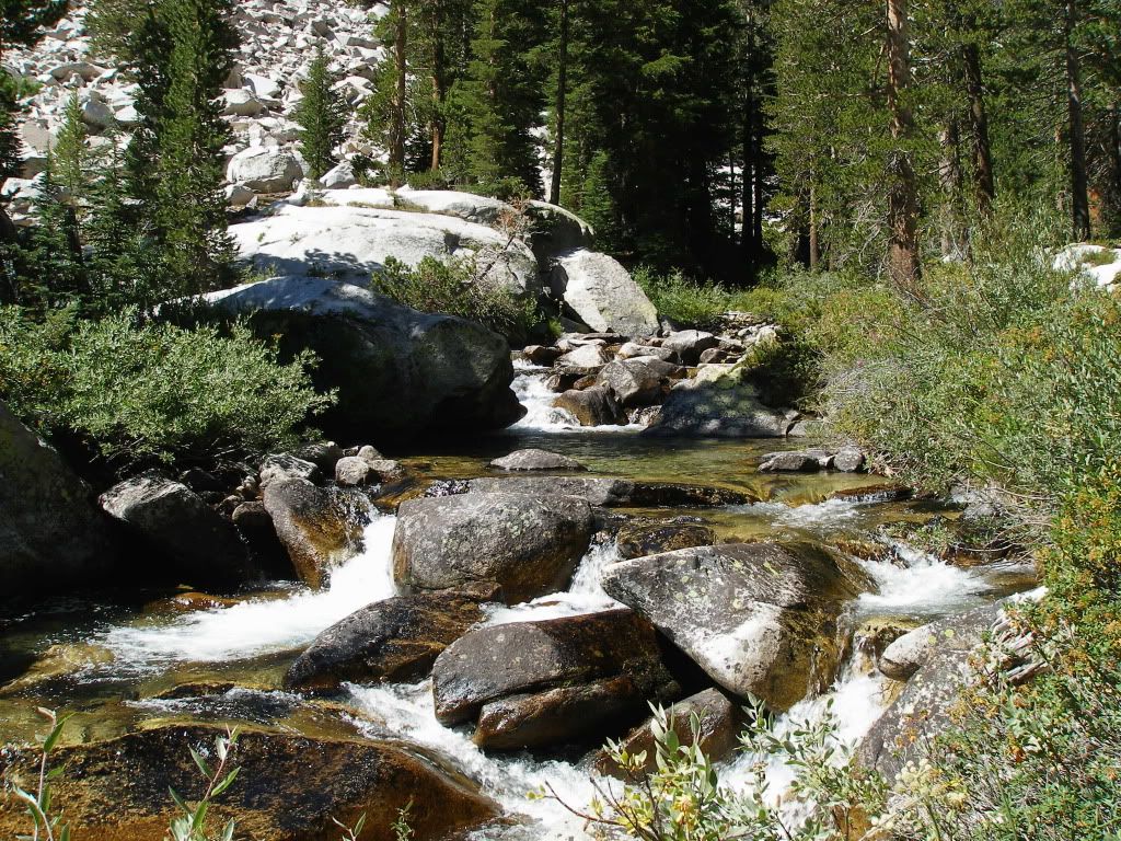 KingsCanyon2008670.jpg