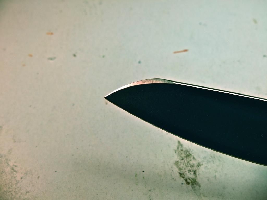 DSCF2759_zpse3d21a0a.jpg