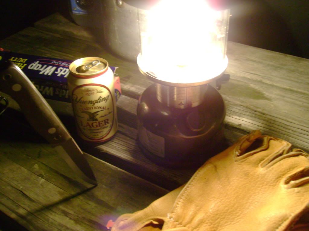 DSC02208.jpg