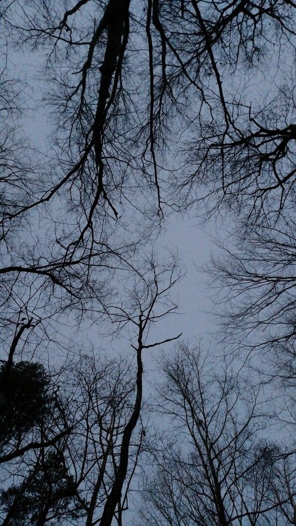IMG_20170324_065657.jpg