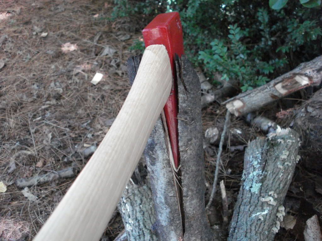DSC00575.jpg