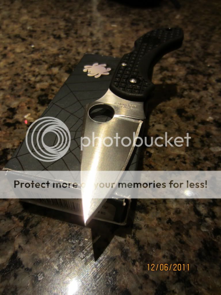 IMG_1206.jpg