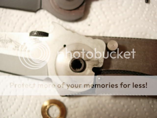 DSCN1590.jpg