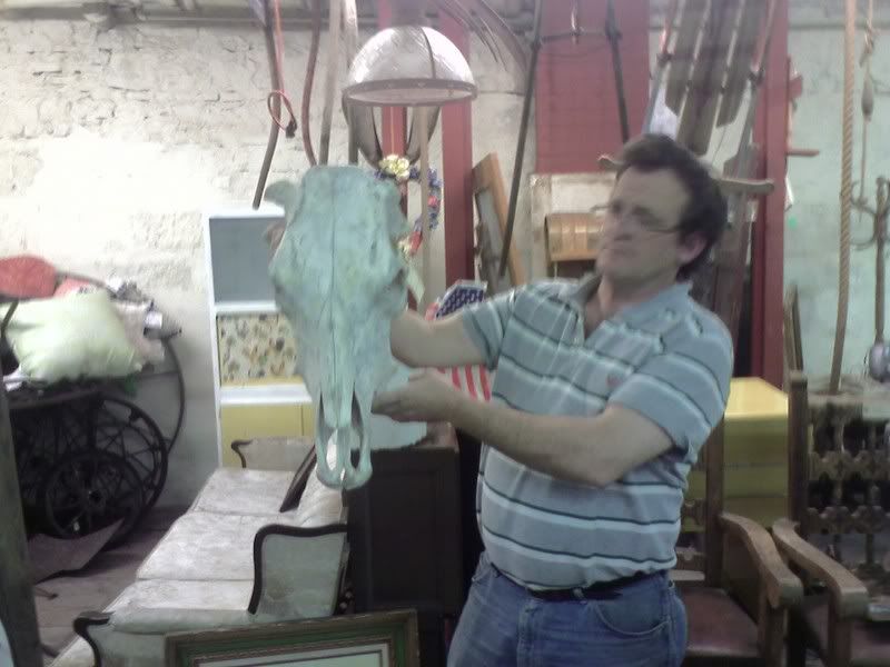 CowSkull1.jpg