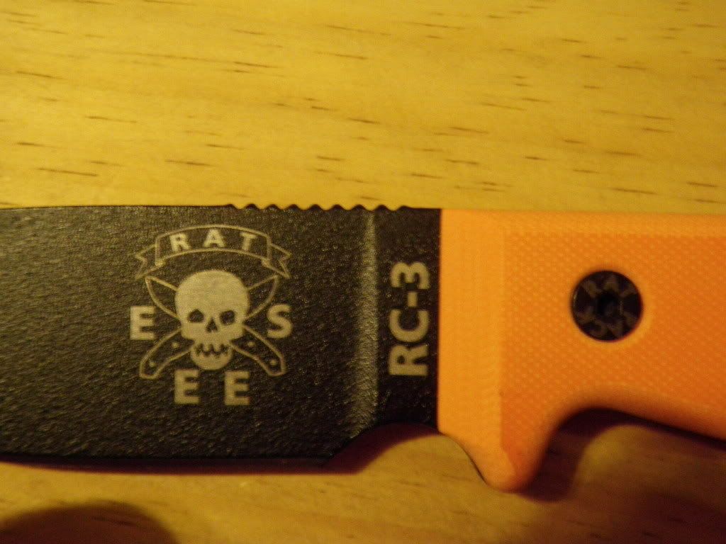 PC010016-1.jpg