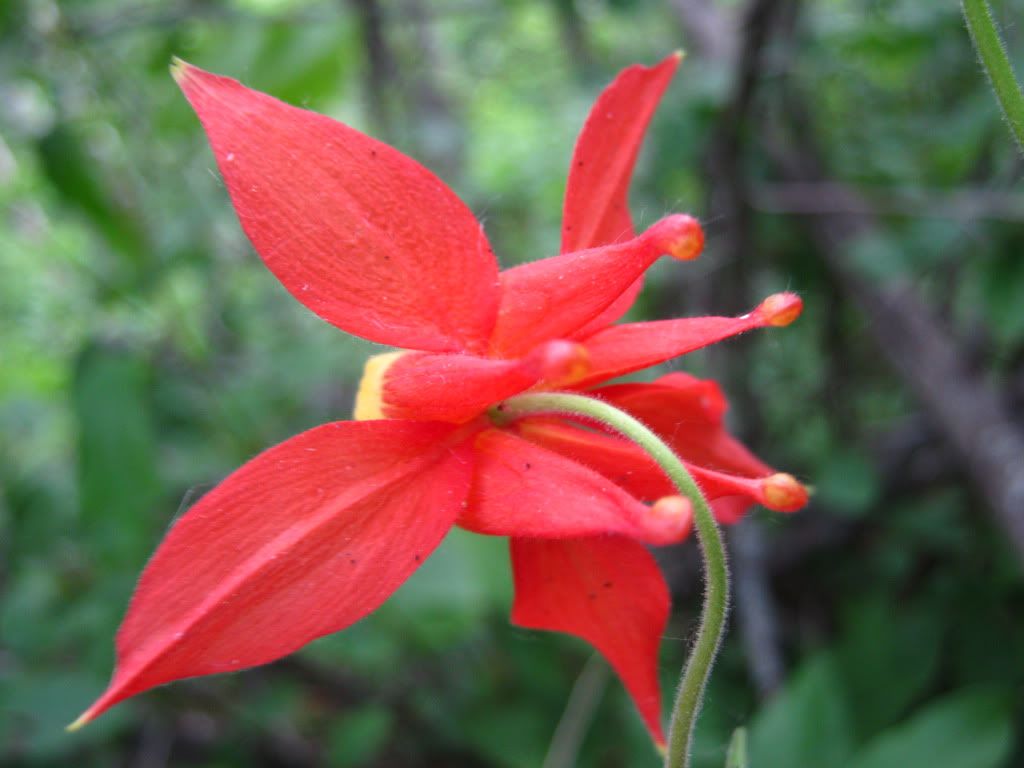 July032010041.jpg