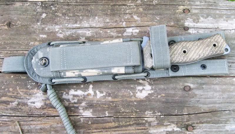 M6001.jpg