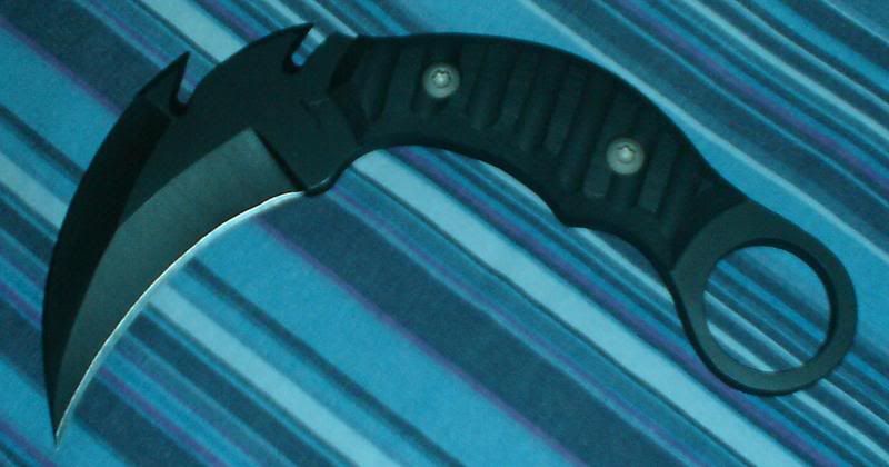Picture001.jpg