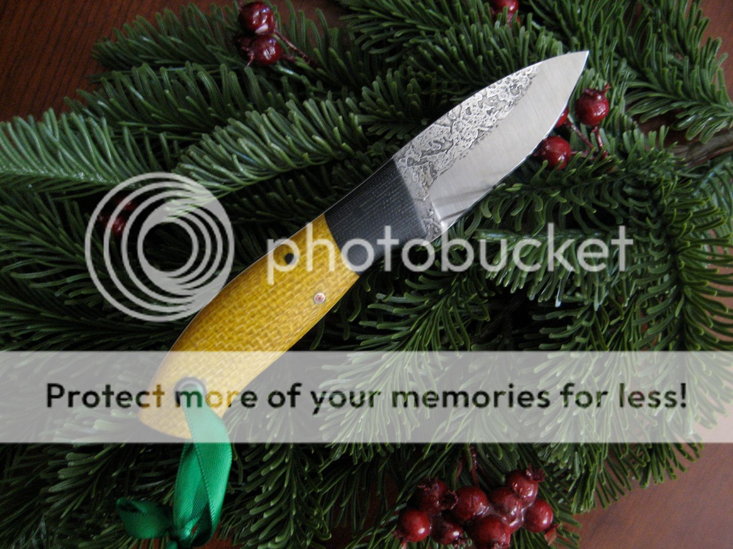 IMG_8406_zpsb2r3u9gx.jpg