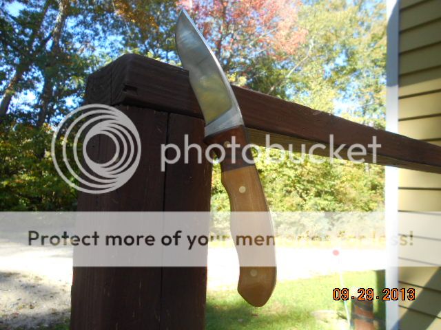DSCN0239.jpg