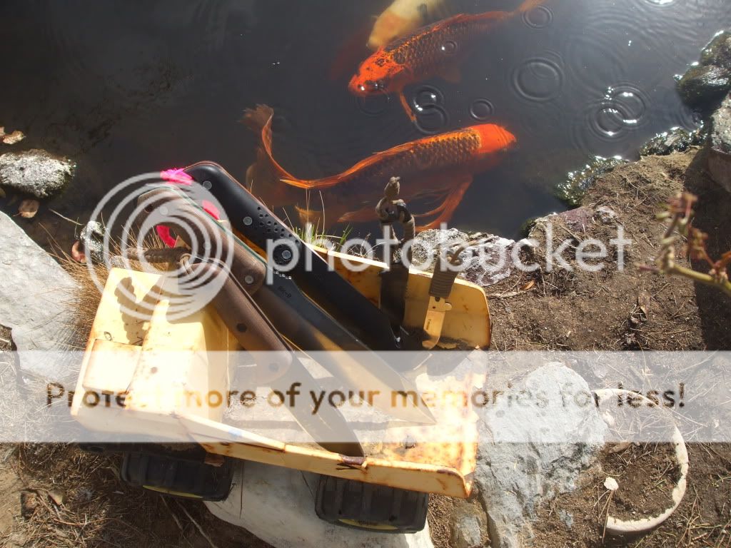pondbeckerpics062.jpg