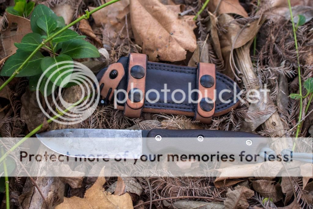 IMG_0441_zpsa85d5061.jpg~original