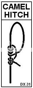 CamelHitch.jpg
