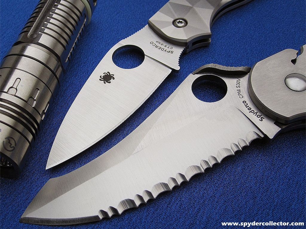 chaparral_ti_blade.jpg