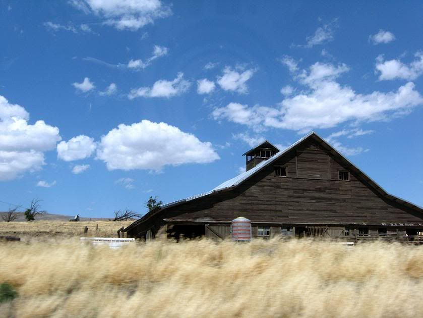 06.jpg