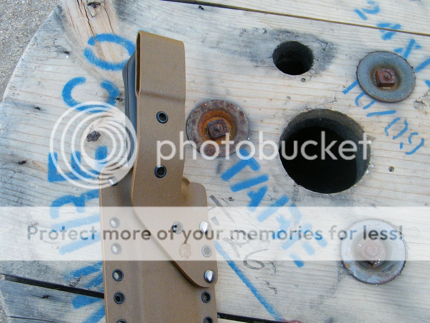 DSCF8528.jpg