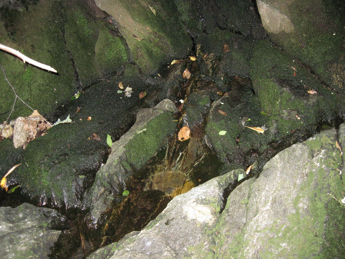 IMG_6882.jpg