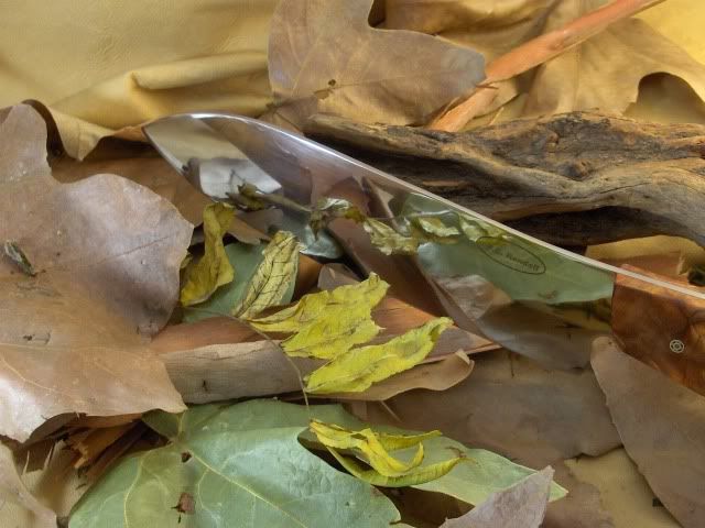 ChefKnives010.jpg